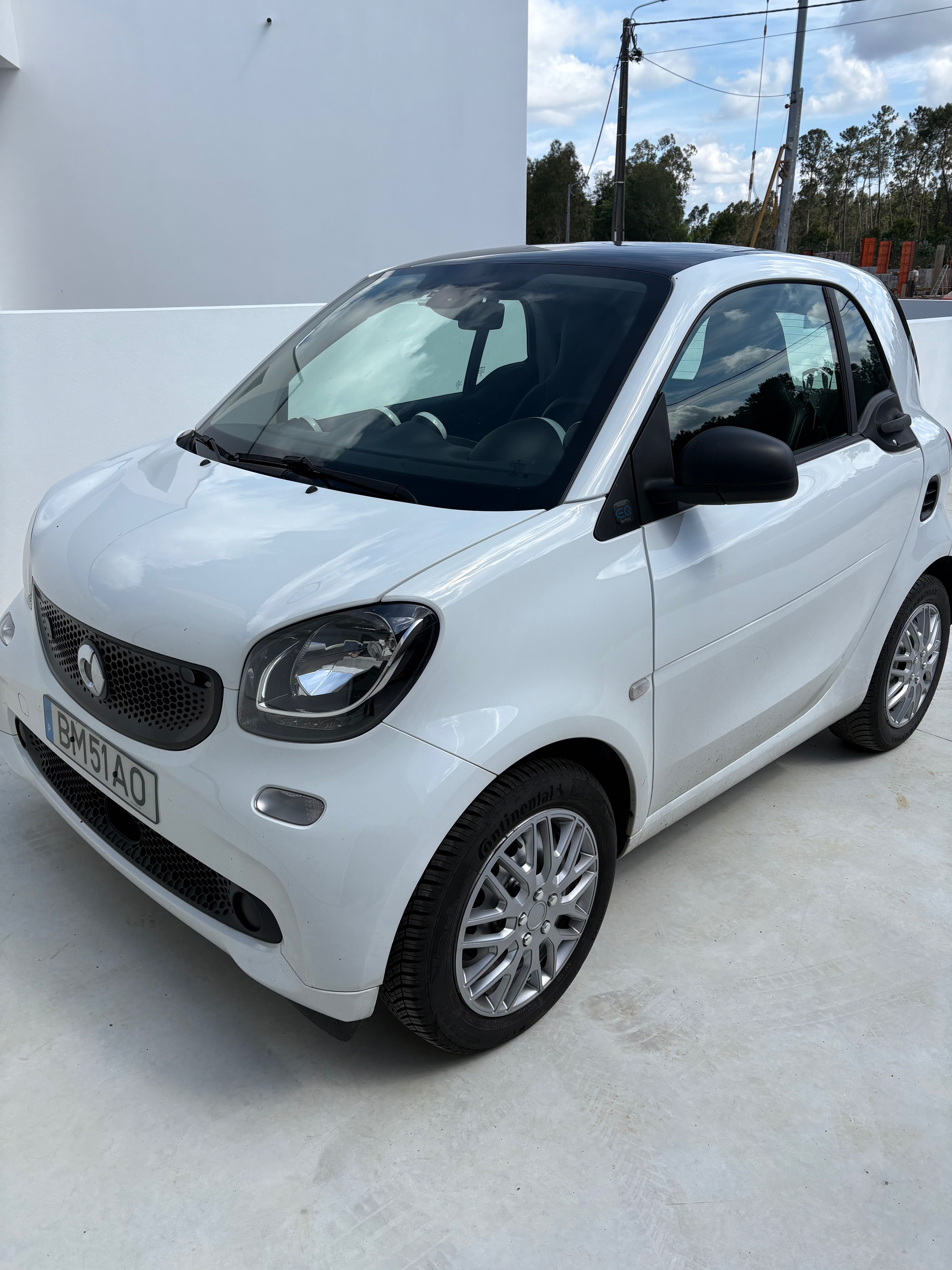 Smart elétrico 2020