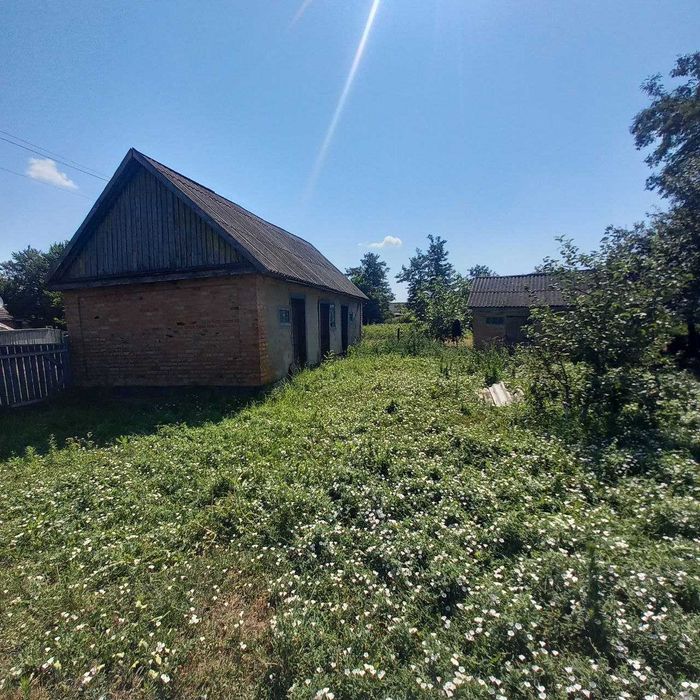 Будинок у с. Повстин