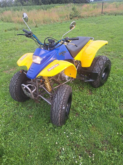 Quad SMC Barossa 170 cc Homologacja