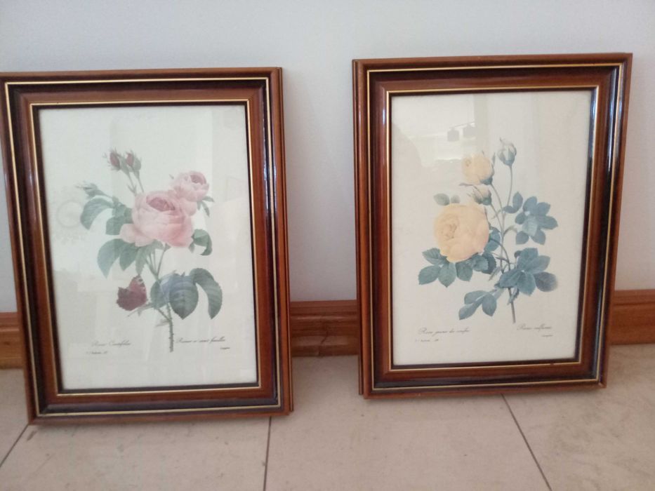 Dois Quadros Madeira c/Motivos Florais - Paga 1 recebe o conjunto.