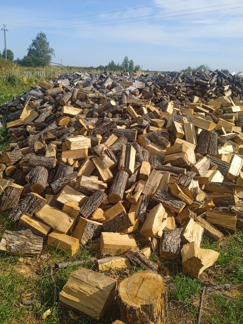 Продам дрова колоті, різних порід з Доставкою