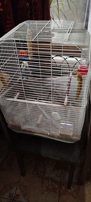 Велика клітка для папуг