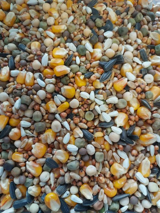 Karma Mieszanka dla gołębi 20kg 25kg 30kg (wysyłka)