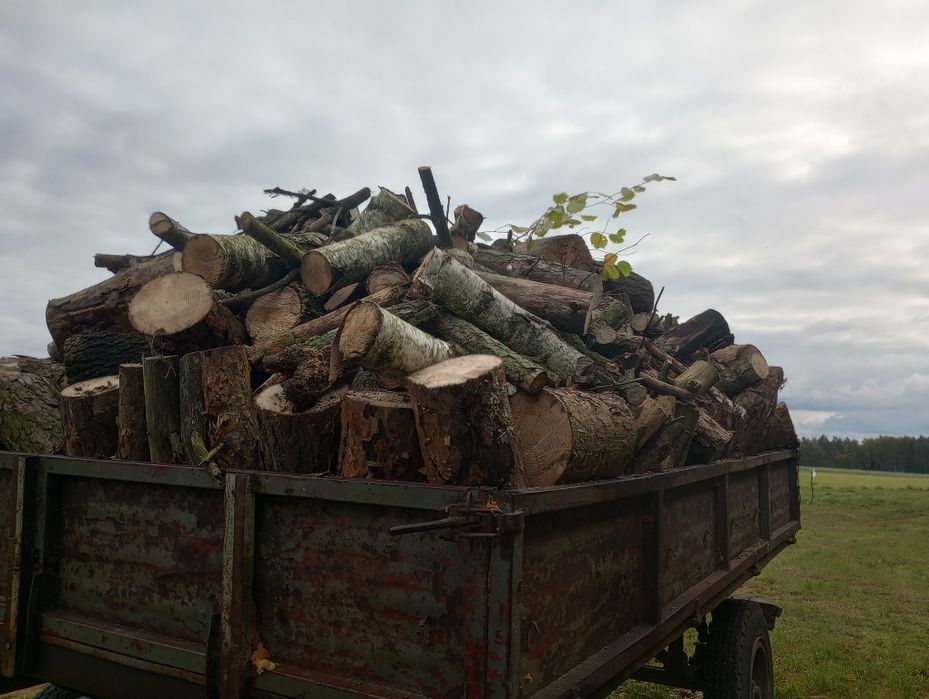 Drewno na opał .