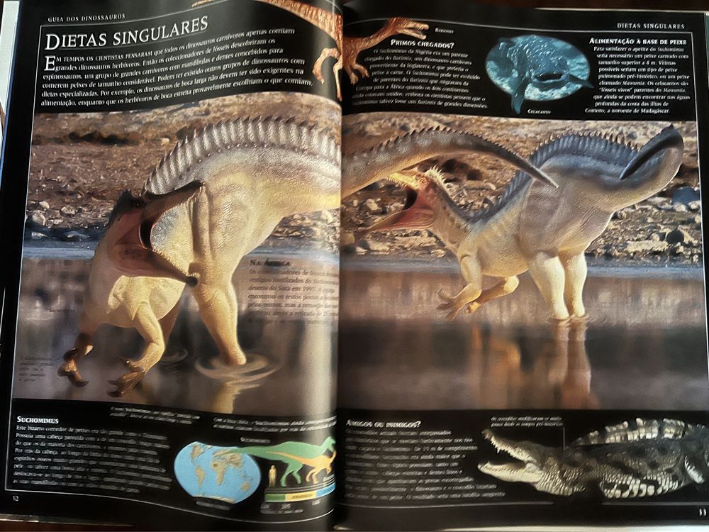 Livro Guia dos Dinossauros