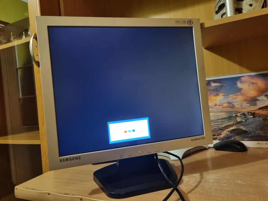 Monitor Samsung SyncMaster  913V 19 cali