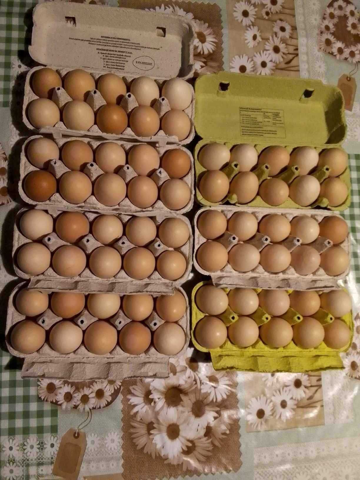 Witam Zapraszam do zakupu jajek wiejskich.