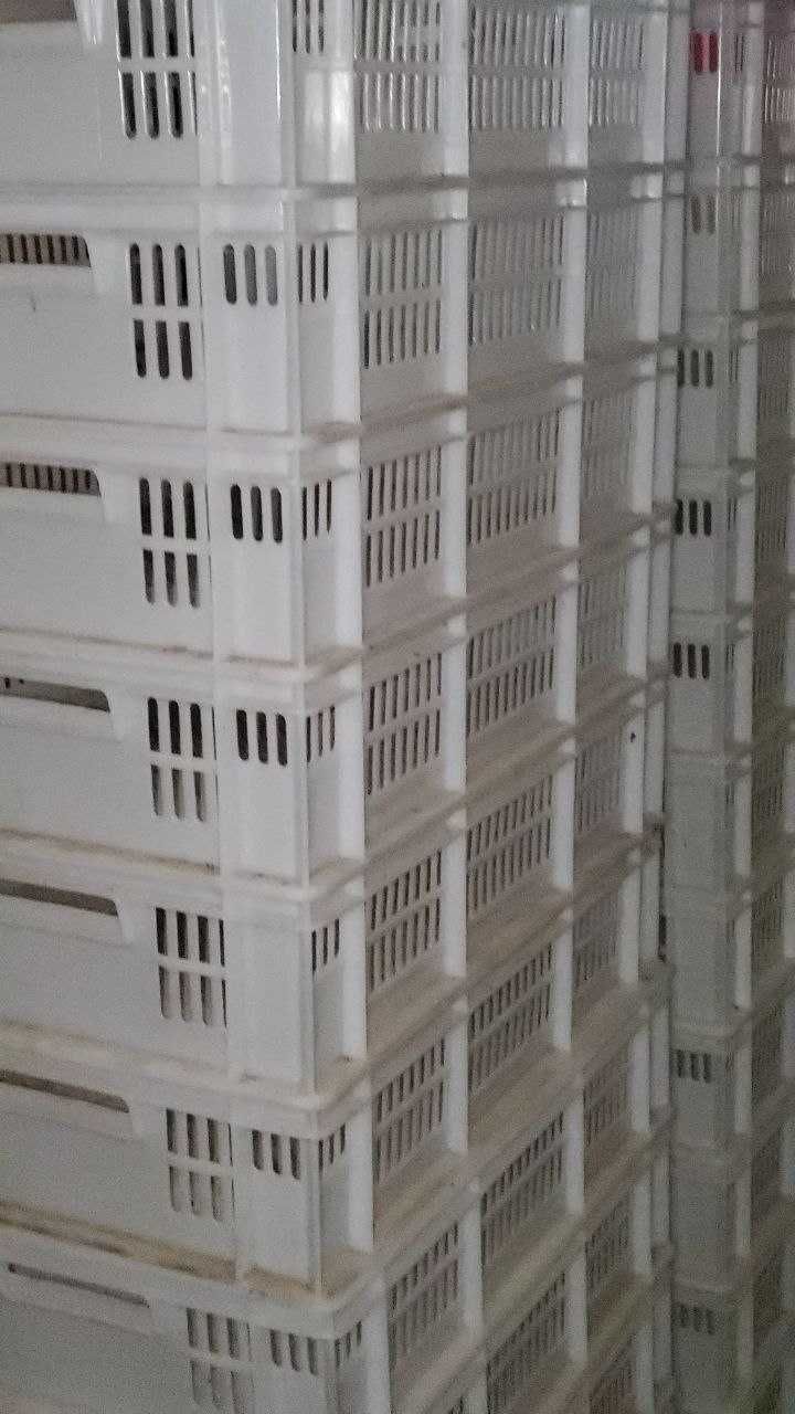 Пластиковий ящик з перфорованими стінками, для добових курчат