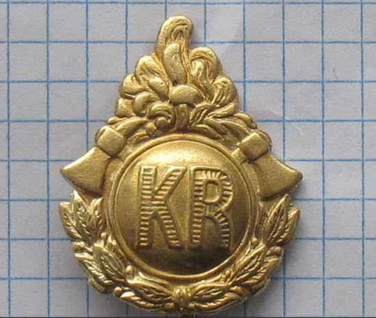 odznaka naramiennik Straży Pożarnych (8)