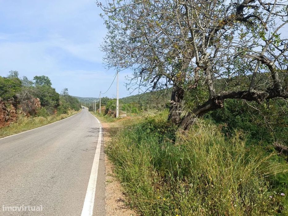 Moinho com terreno rústico