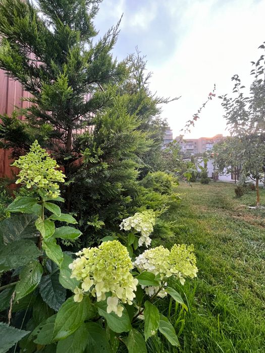 Продаж будинку або бізнес