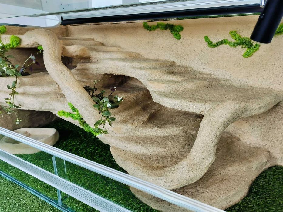 Terrarium dla agamy brodatej  z lampami i roślinami TW04P2A, AquaWaves