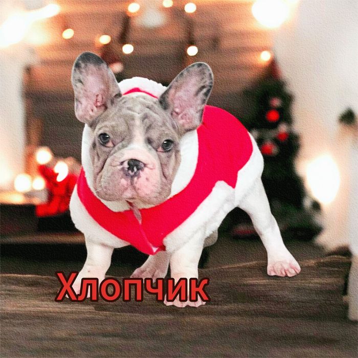 Міні хлопчик вельвет біг роп