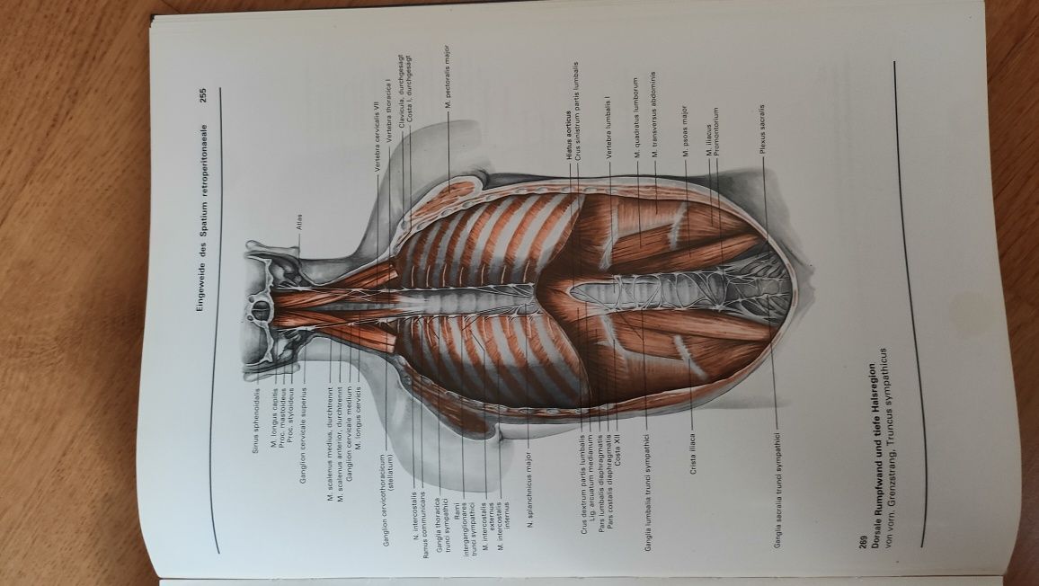 Atlas Der Anatomie des menschen tom 2 Atlas anatomiczny