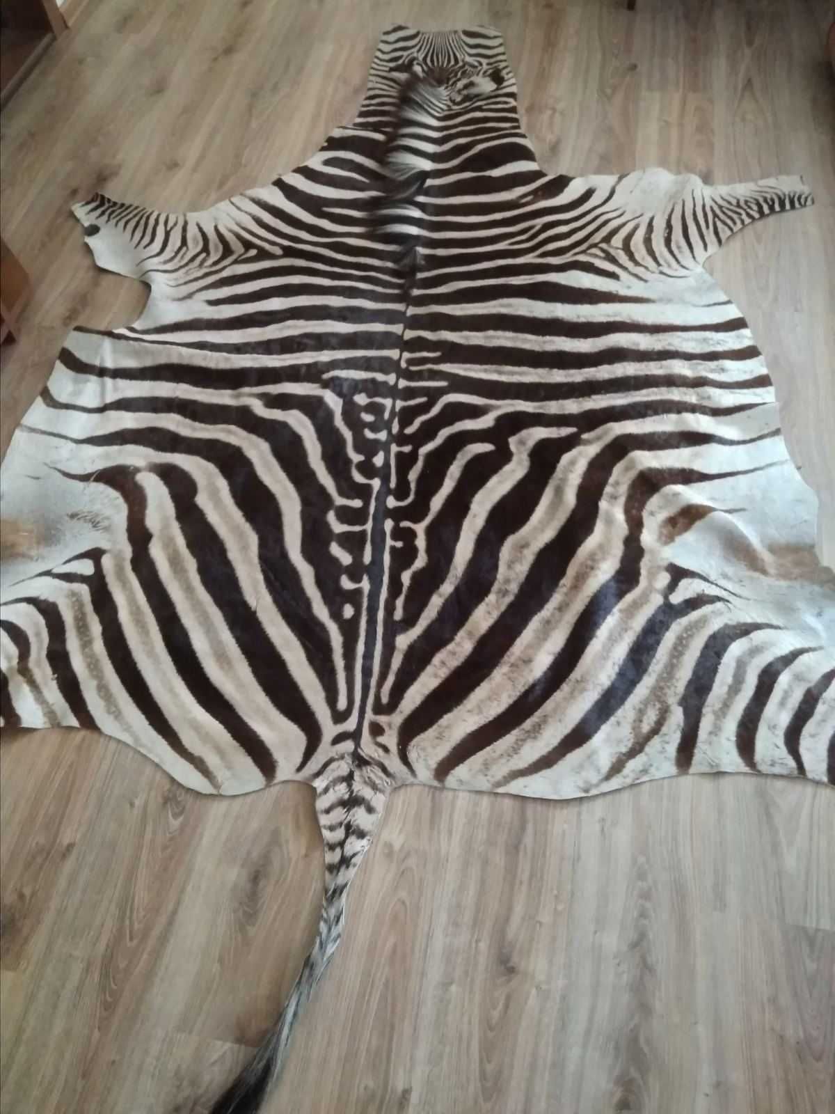 Продам натуральну Шкіру Зебри/Шкуру Зебры/Hartman's Zebra