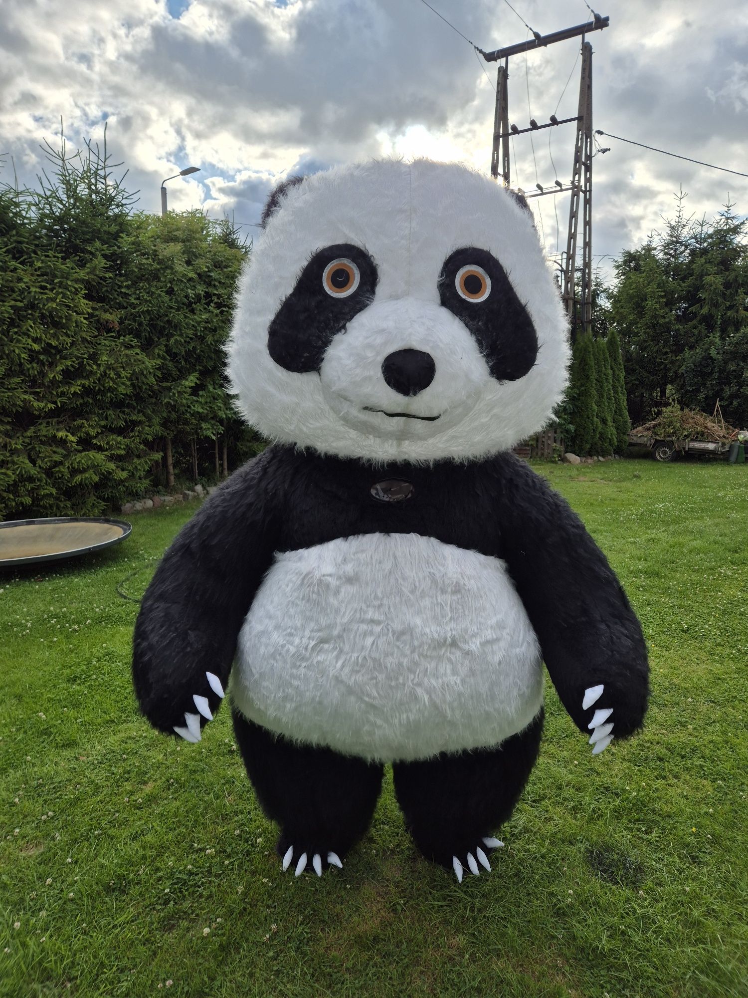 Miś panda dmuchany , na urodziny ,impreze wynajem