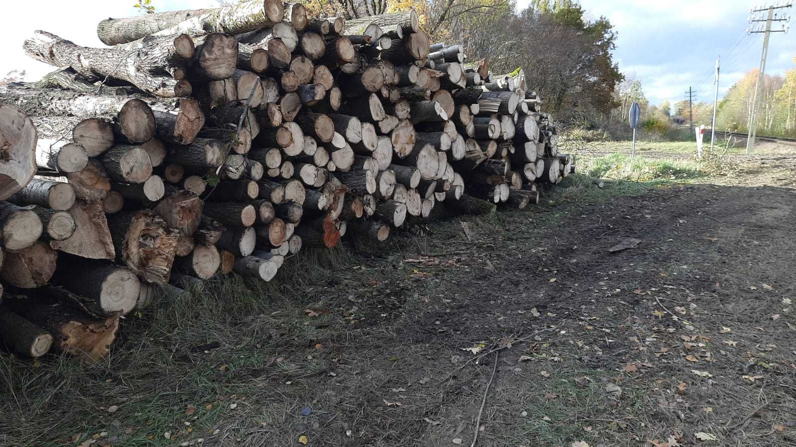 drewno kominkowe, opałowe : (dąb, jesion, buk) kłody z dostawą