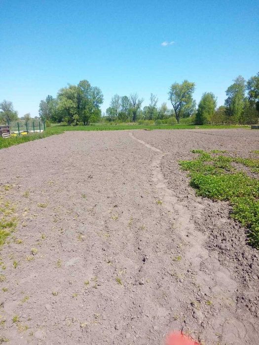 Гоголів, будинок та земельна ділянка 38 соток