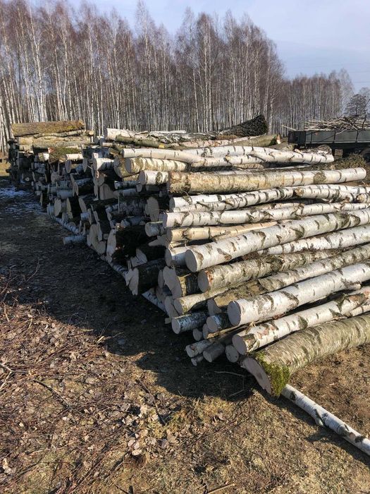 Sprzedam drewno opałowe- brzoza 190 zł