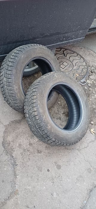 195 65 R15 зима kama irbis