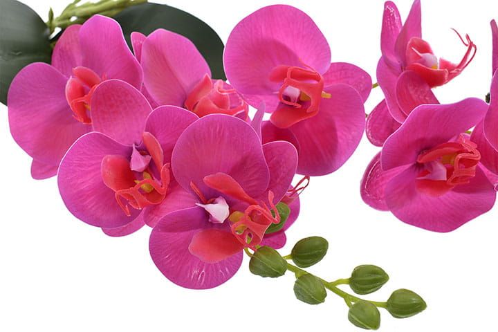Storczyk orchidea gałązka dekoracja kwiat ozdoba