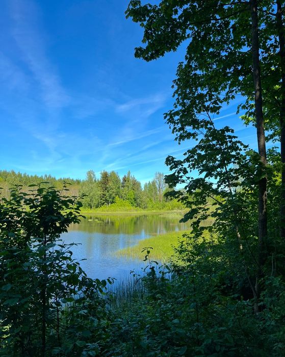 Działka leśna 9.79ha prywatny staw 0.5ha