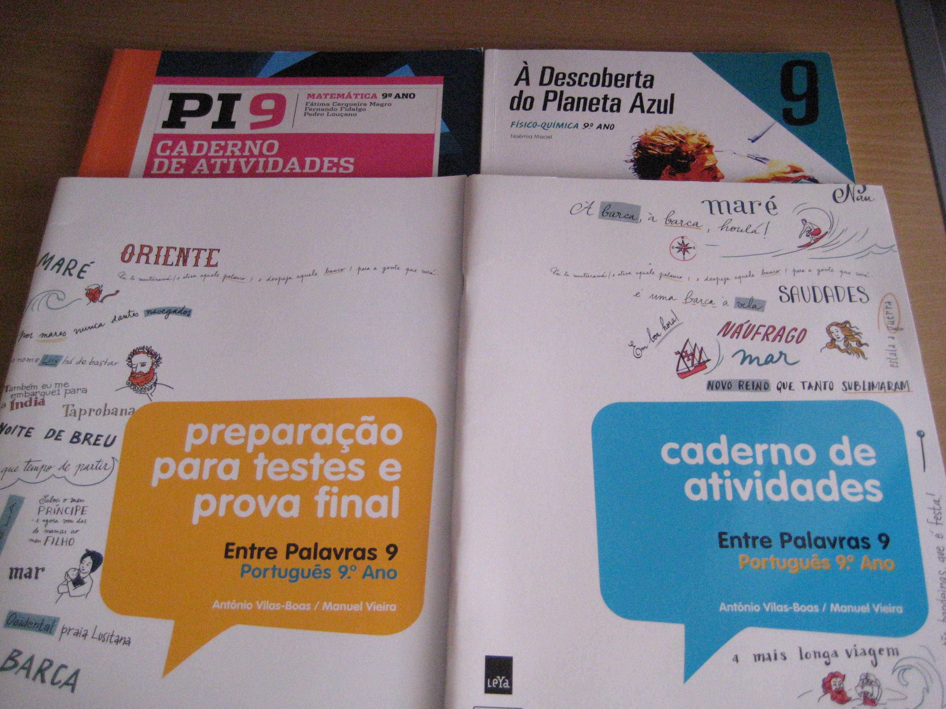 Vários manuais e cadernos de atividades 9º ano