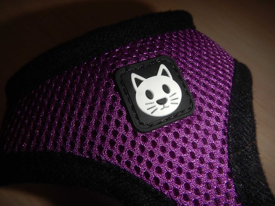 Шлея для кота pets