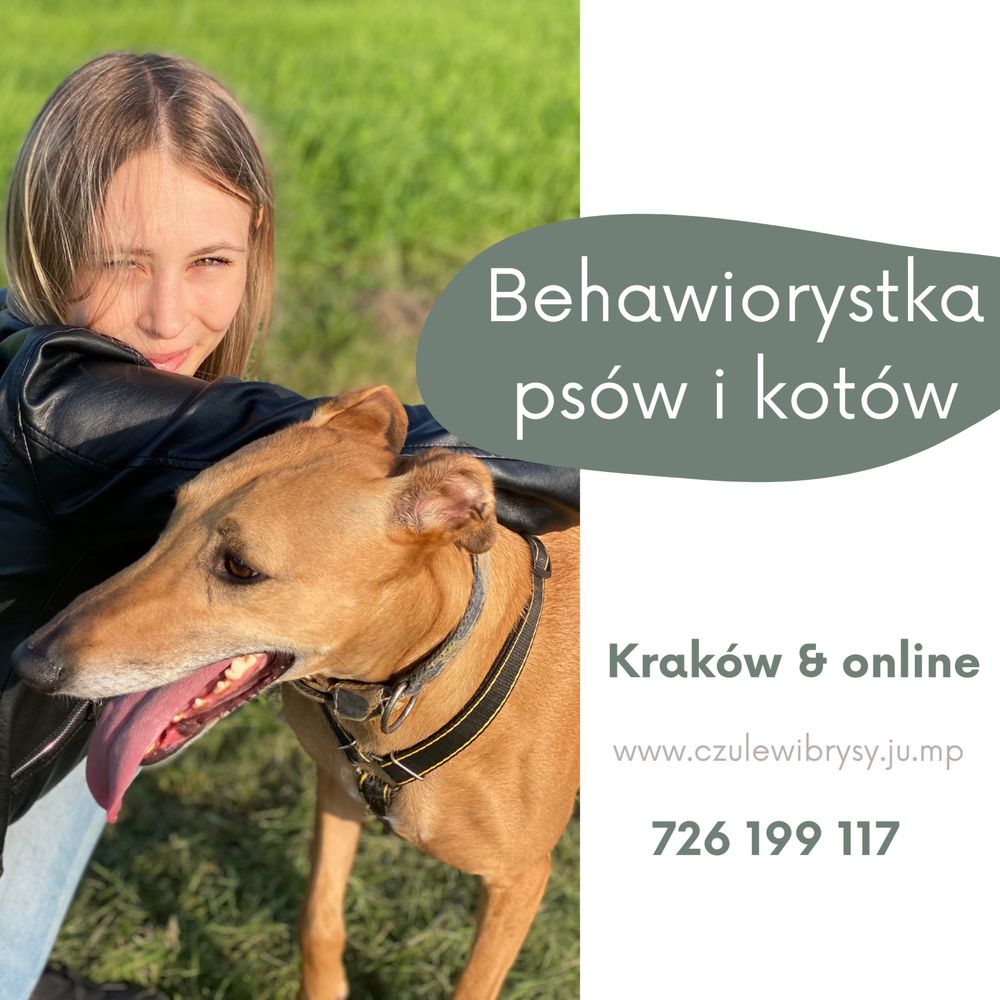 Behawiorysta psów i kotów | psia oraz kocia behawiorystka | Kraków