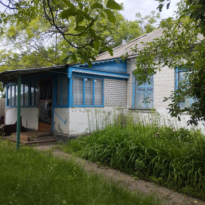 Продам будинок в с. Васильки