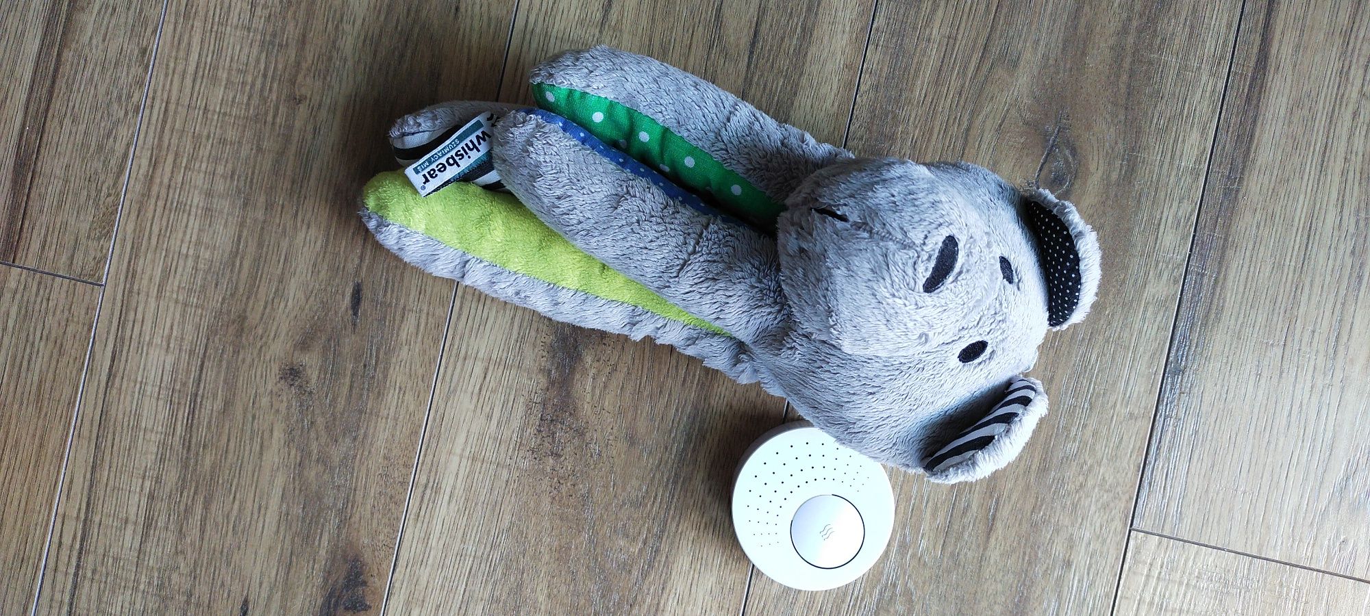 Whisbear szumiący miś sensoryczny