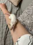 PILNIE oddam samice myszy
