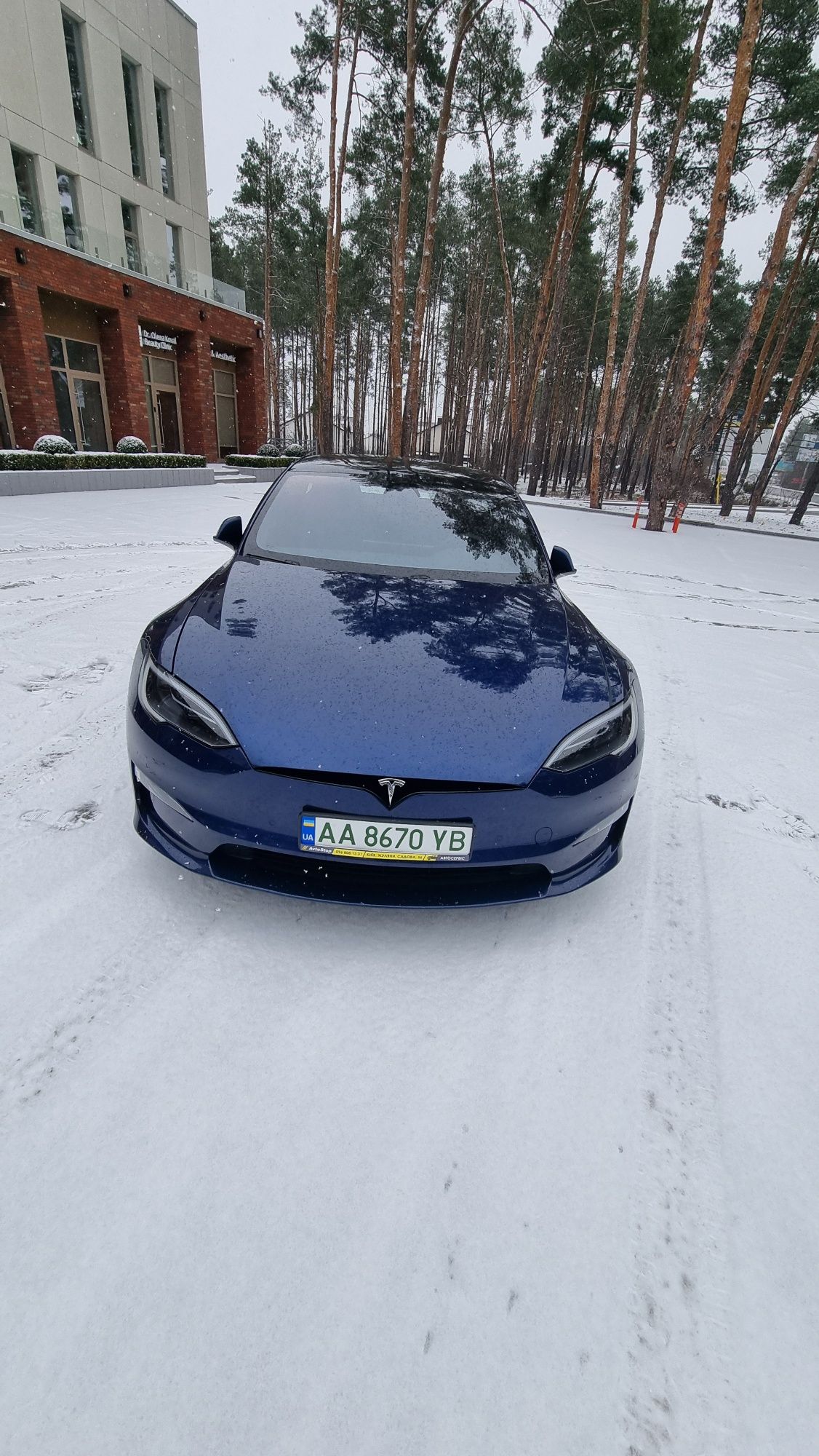 Оригінальний капот синій model S plaid 2022
