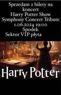 Harry Potter Show koncert dzień dziecka