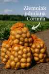 Ziemniaki odmiana Corinna 1,50zł/kg z własnej plantacji
