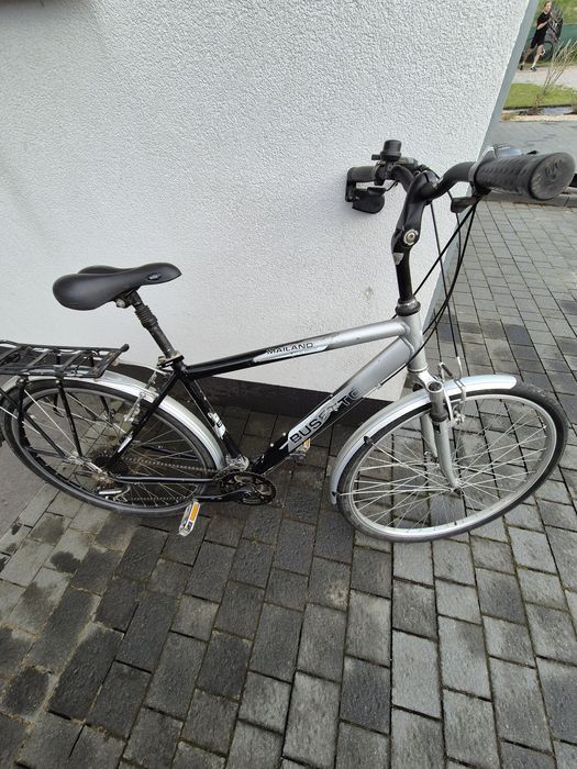Rower busetto tanio i solidndnie