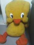 Peluche pintainhos