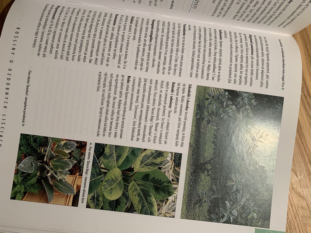 Wielka Encyklopedia Roślin Pokojowych