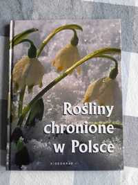 Rośliny chronione w Polsce