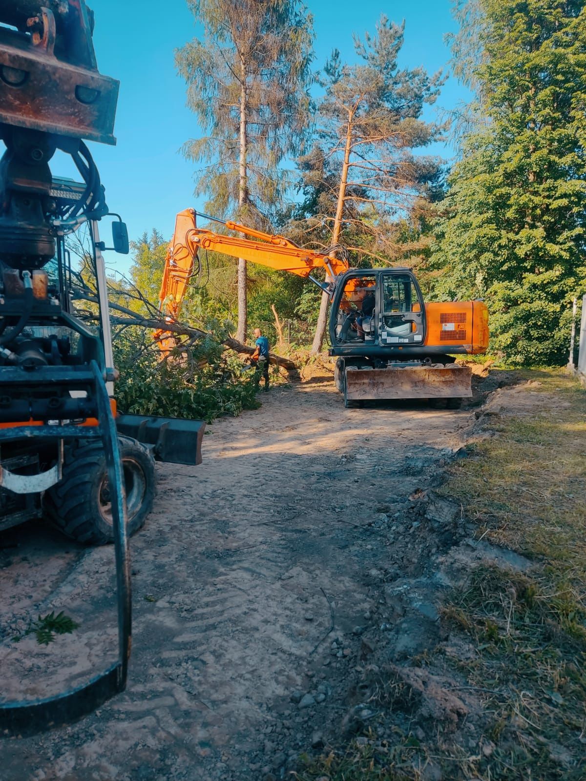 Czyszczenie działek wycinka drzew karczowanie pni równanie zrębkowanie