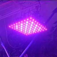 ФИТОЛАМПА для ГРОУБОКСА Led Выращивание Растений Рассады