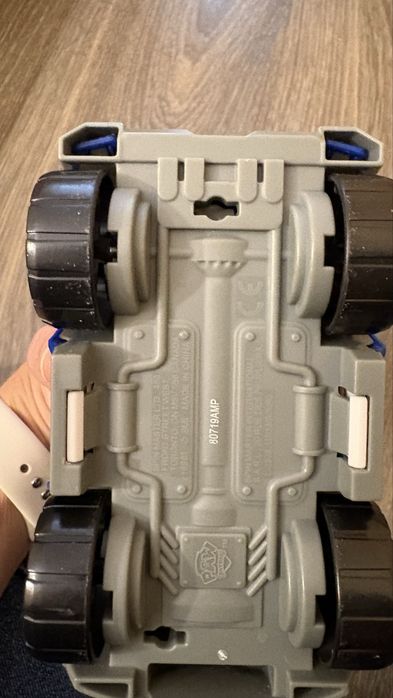 Гонщик на машині. Щенячий патруль