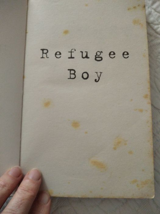 The refugee boy (inglês)