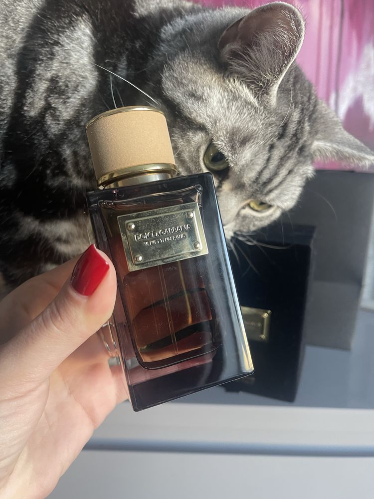 Dolce & Gabbana Velvet Tender Oud 100 ml