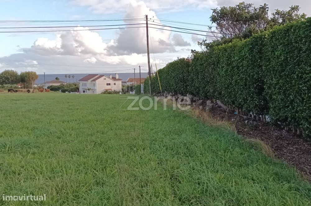 Terreno rústico na Horta