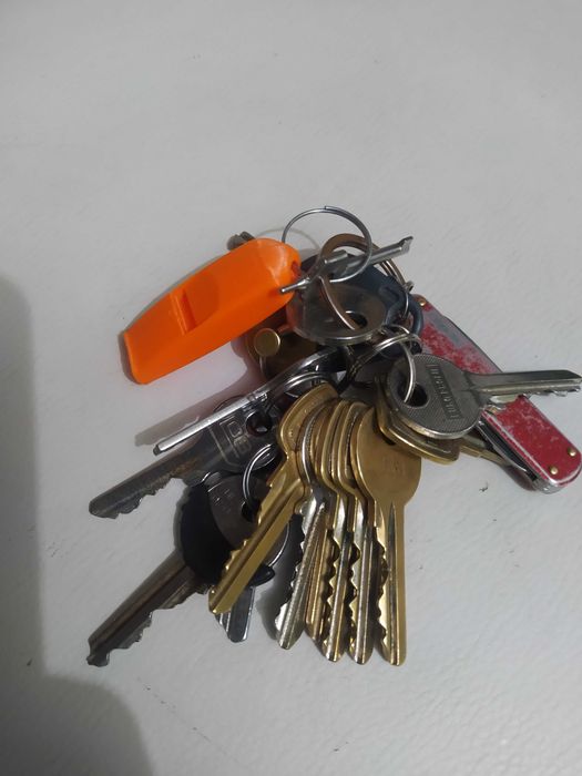 Gwizdek do odstraszania dzikich psów i innych zwierząt mega mocny