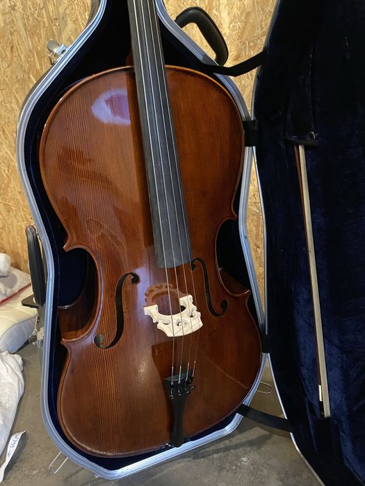 wiolonczela palatino z twardym pokrowcem i smyczkiem