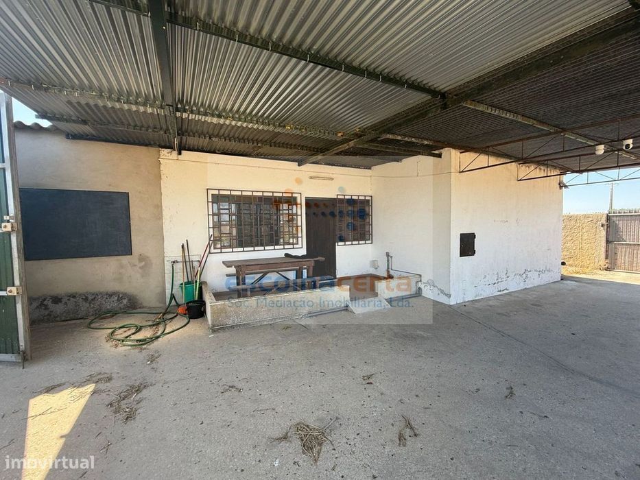 Na natureza junto á cidade, o melhor de dois mundos