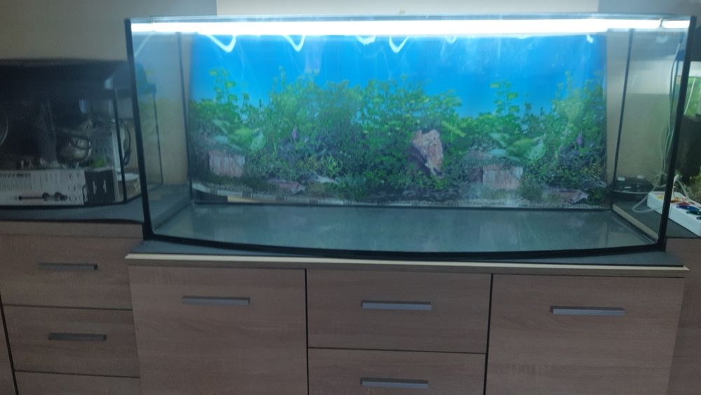 Sprzedam lub zamienię akwariumy 205 litrów 120 cm szerokość