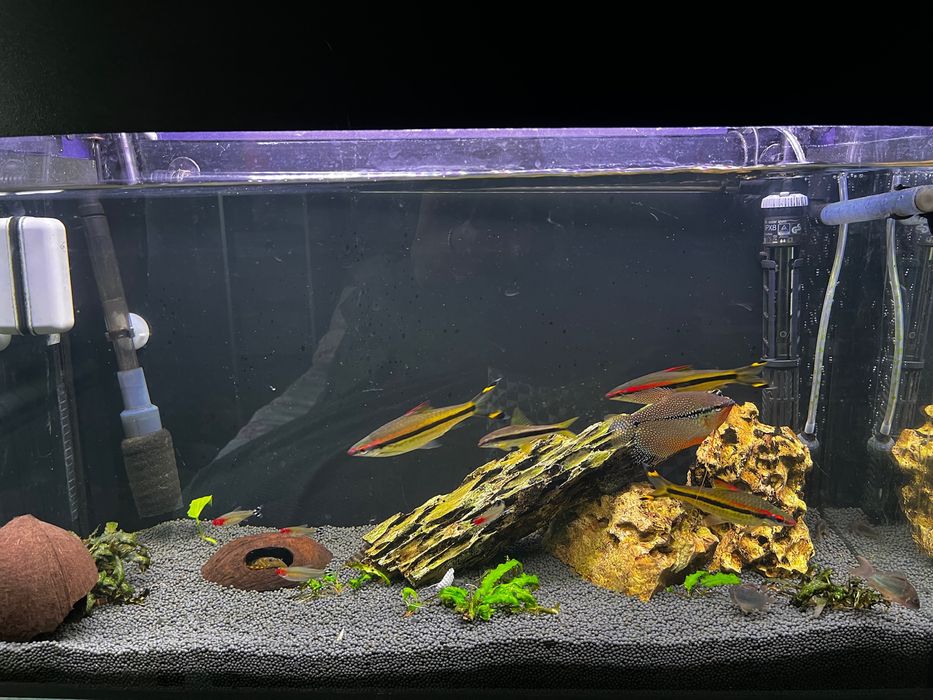 Продам свой аквариум на 80л 
Комплект